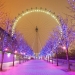 Visit the London Eye on the Southbank